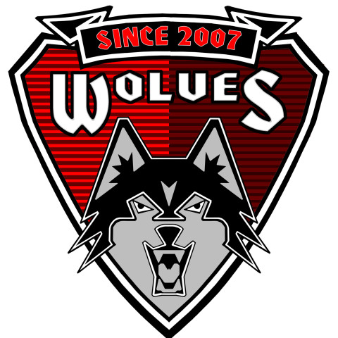 Wolves Official Logo (since 2007)