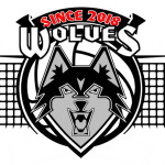 Wolves Basketball logo