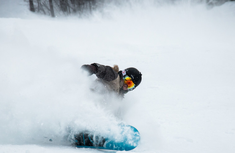 StockSnap_KRXK7LH6XL